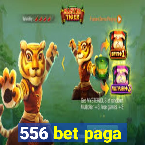 556 bet paga